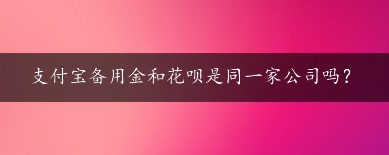 支付宝备用金和花呗是同一家公司吗？