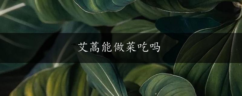 艾蒿能做菜吃吗