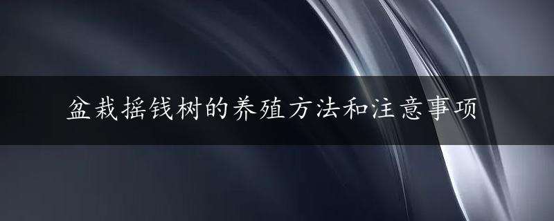 盆栽摇钱树的养殖方法和注意事项