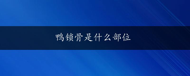 鸭锁骨是什么部位