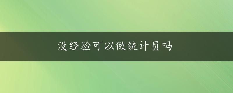 没经验可以做统计员吗