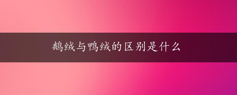 鹅绒与鸭绒的区别是什么