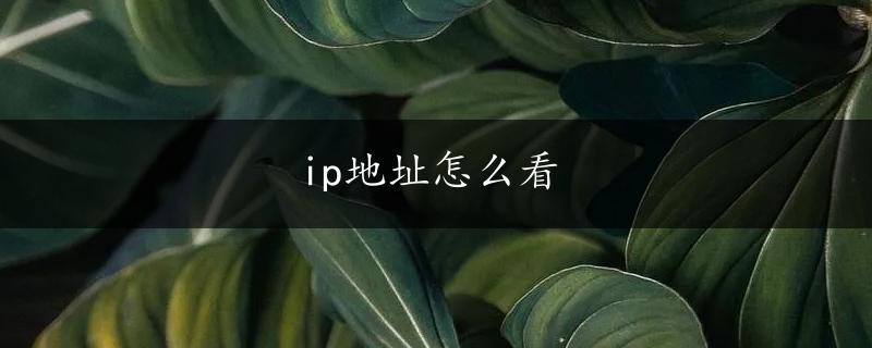 ip地址怎么看