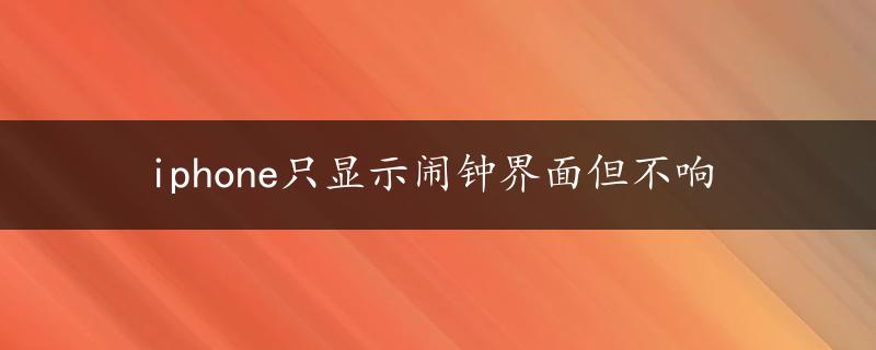 iphone只显示闹钟界面但不响