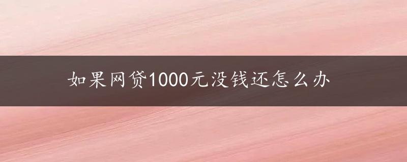 如果网贷1000元没钱还怎么办