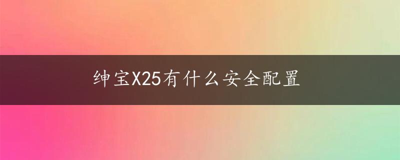 绅宝X25有什么安全配置