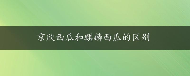 京欣西瓜和麒麟西瓜的区别