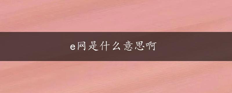 e网是什么意思啊