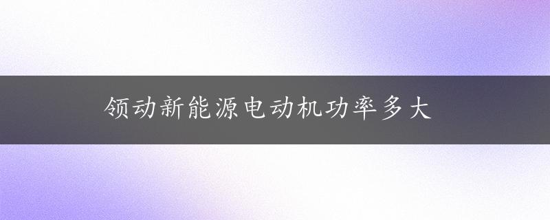 领动新能源电动机功率多大