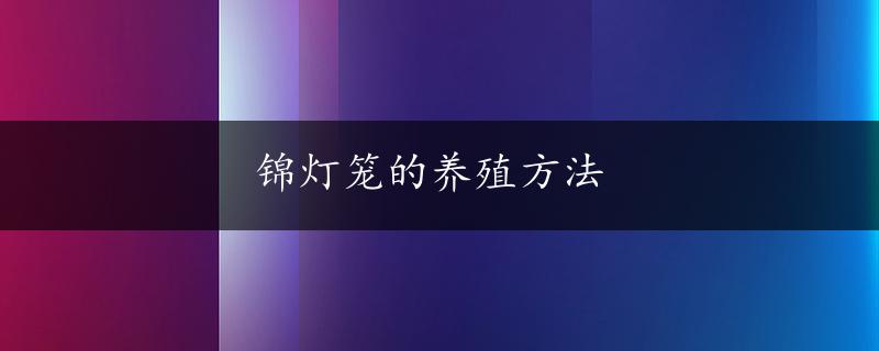 锦灯笼的养殖方法