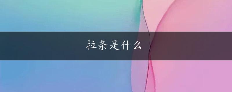 拉条是什么