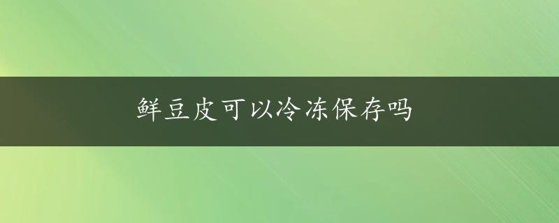 鲜豆皮可以冷冻保存吗