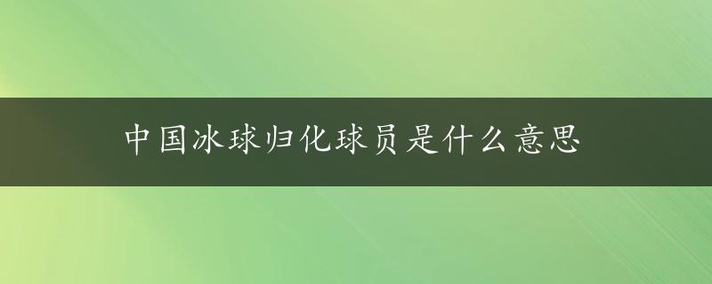 中国冰球归化球员是什么意思