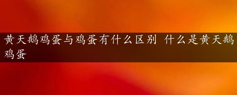 黄天鹅鸡蛋与鸡蛋有什么区别 什么是黄天鹅鸡蛋