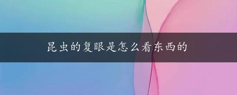 昆虫的复眼是怎么看东西的