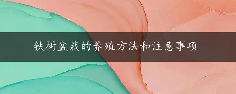 铁树盆栽的养殖方法和注意事项