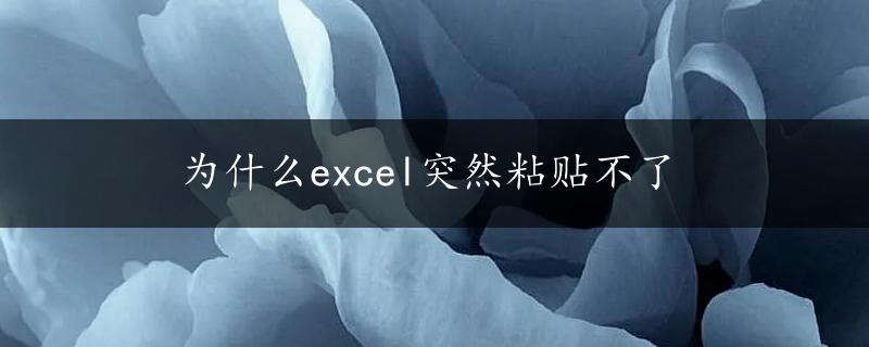 为什么excel突然粘贴不了