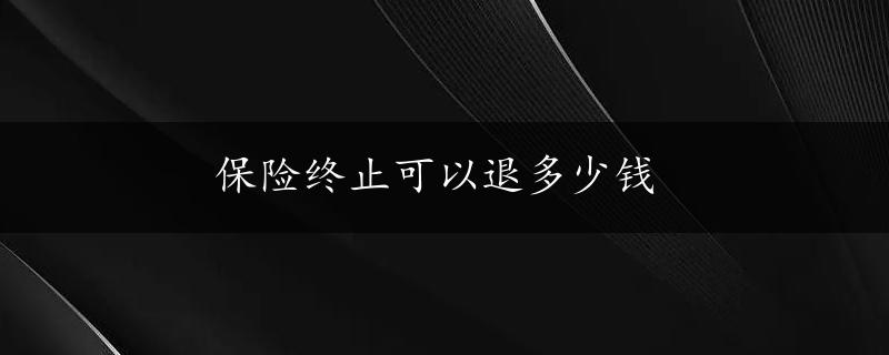 保险终止可以退多少钱