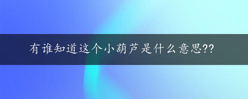 有谁知道这个小葫芦是什么意思??