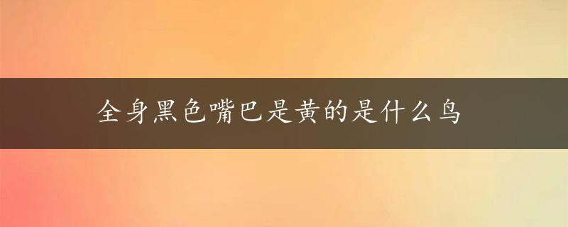 全身黑色嘴巴是黄的是什么鸟