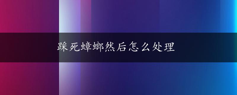 踩死蟑螂然后怎么处理