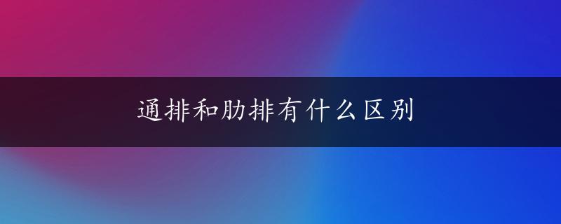 通排和肋排有什么区别