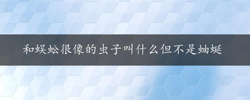 和蜈蚣很像的虫子叫什么但不是蚰蜒