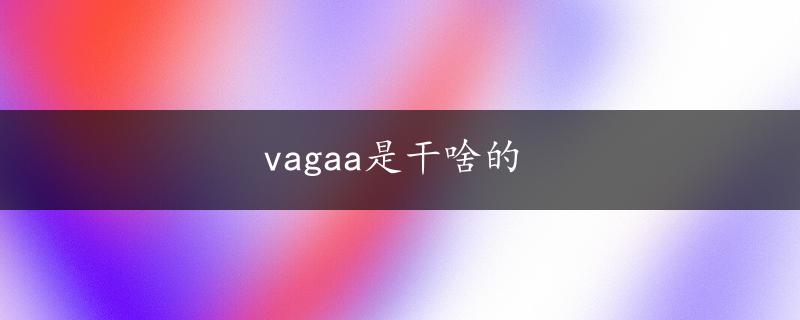 vagaa是干啥的