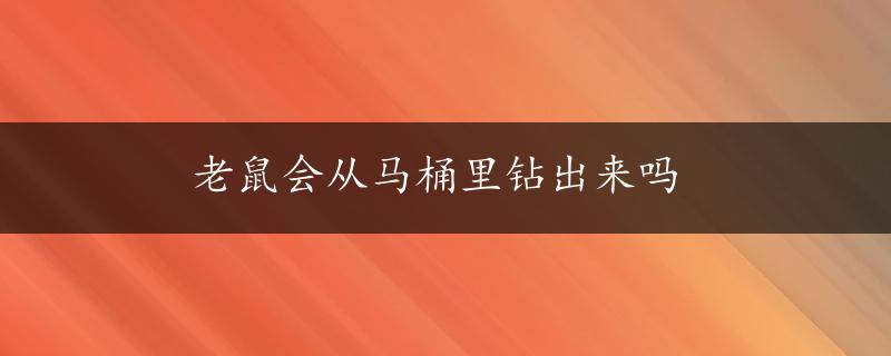 老鼠会从马桶里钻出来吗