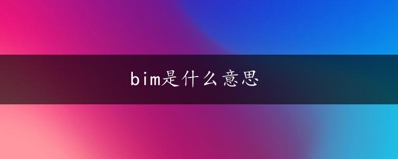 bim是什么意思