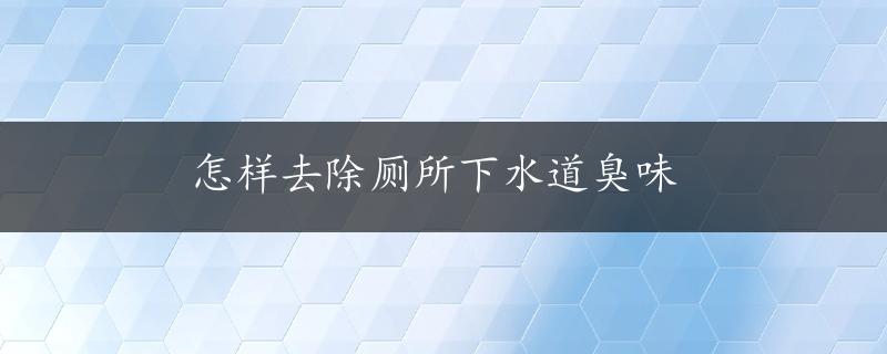 怎样去除厕所下水道臭味