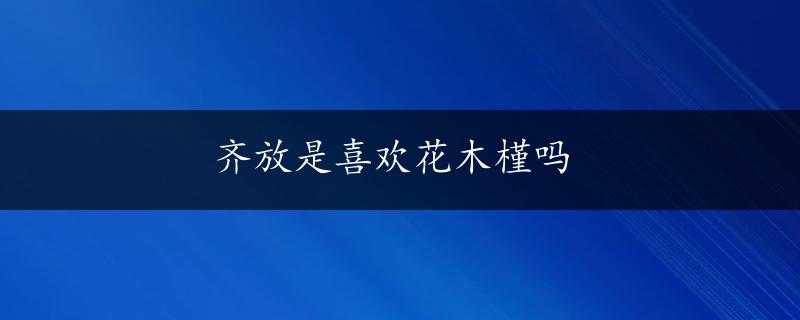 齐放是喜欢花木槿吗