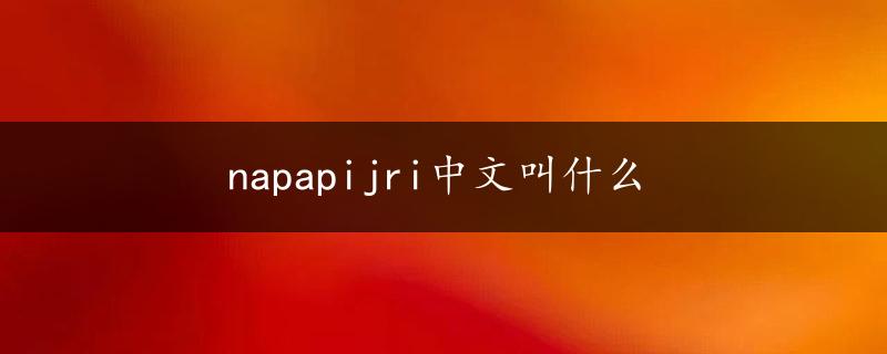 napapijri中文叫什么