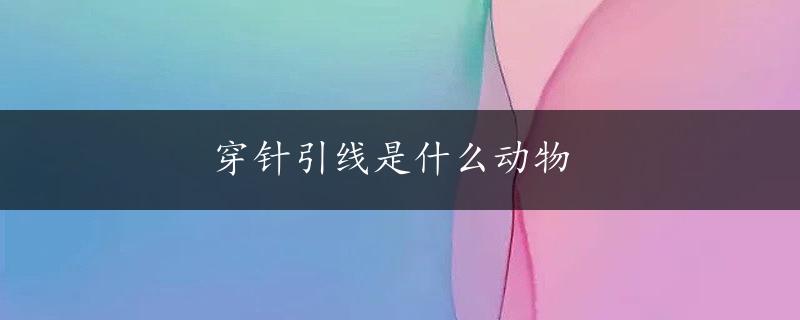 穿针引线是什么动物