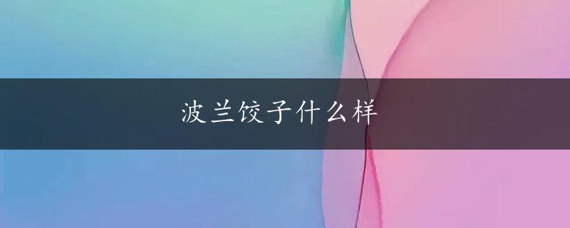 波兰饺子什么样