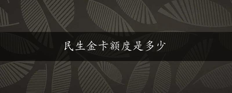 民生金卡额度是多少