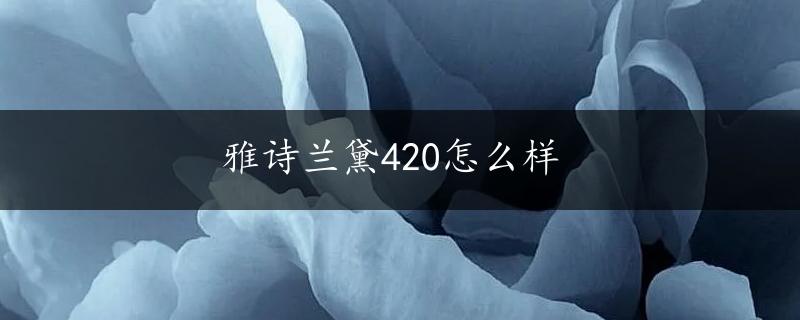 雅诗兰黛420怎么样