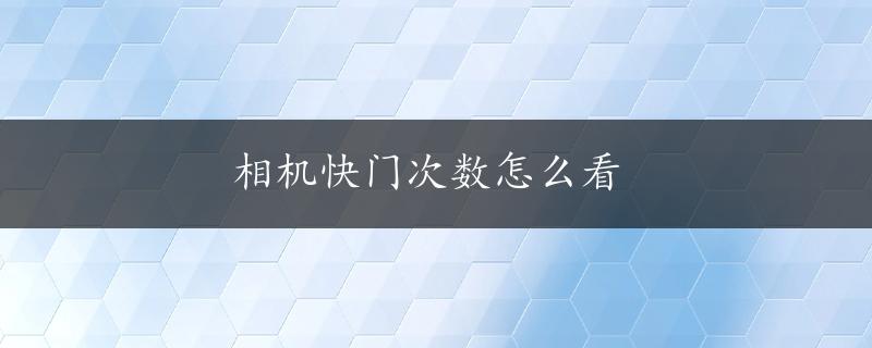 相机快门次数怎么看