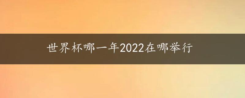 世界杯哪一年2022在哪举行