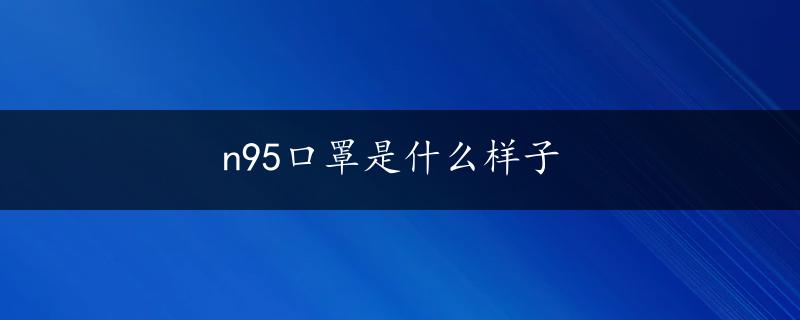 n95口罩是什么样子