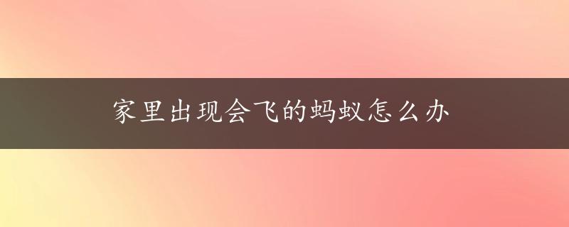 家里出现会飞的蚂蚁怎么办