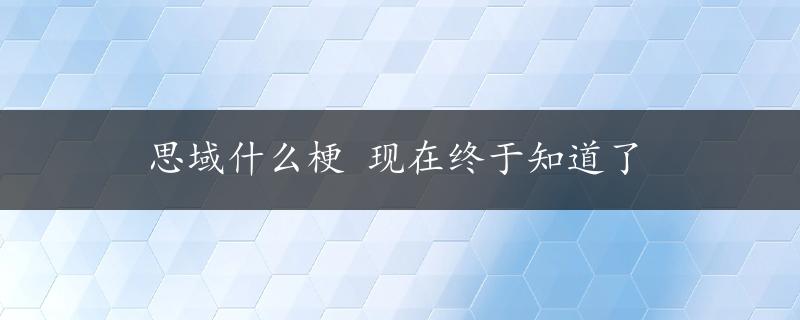 思域什么梗 现在终于知道了