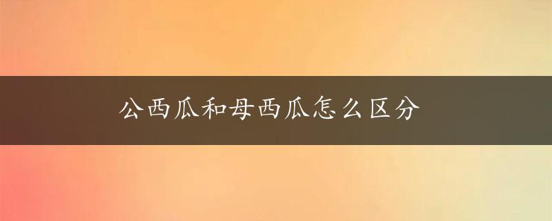 公西瓜和母西瓜怎么区分