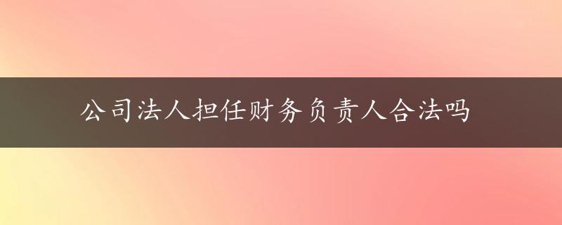 公司法人担任财务负责人合法吗