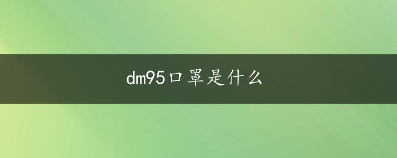 dm95口罩是什么