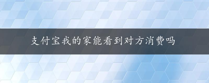 支付宝我的家能看到对方消费吗