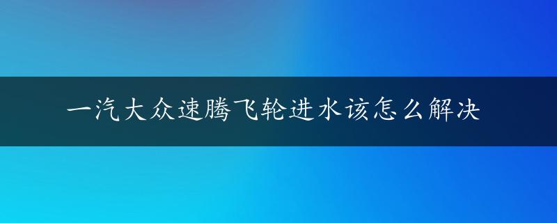 一汽大众速腾飞轮进水该怎么解决