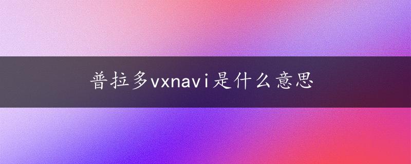 普拉多vxnavi是什么意思