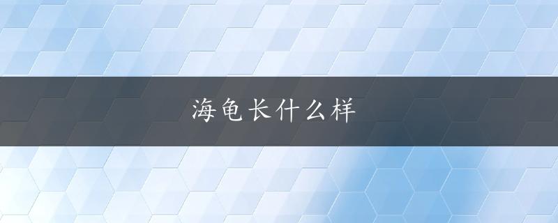 海龟长什么样