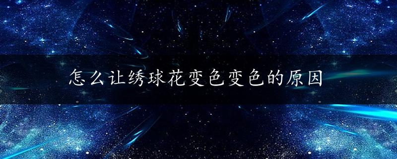 怎么让绣球花变色变色的原因